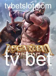 tv bet Rinha de galos