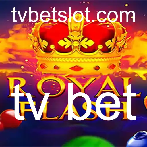 tv bet Jogos de bingo