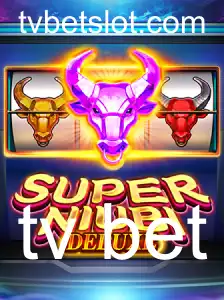 tv bet Jogos de bingo